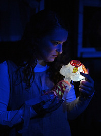 Ne engedj el Ne engedj el